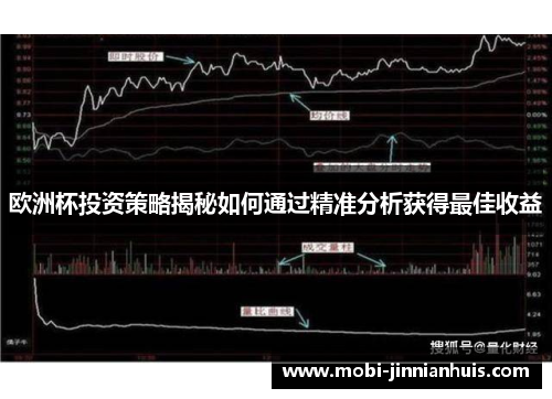 欧洲杯投资策略揭秘如何通过精准分析获得最佳收益
