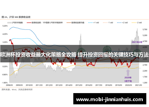 欧洲杯投资收益最大化策略全攻略 提升投资回报的关键技巧与方法