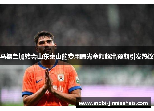 马德鲁加转会山东泰山的费用曝光金额超出预期引发热议