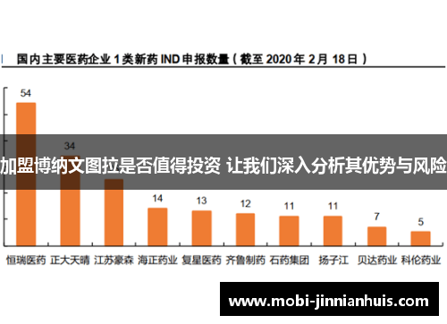 加盟博纳文图拉是否值得投资 让我们深入分析其优势与风险