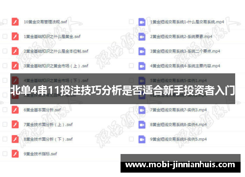 北单4串11投注技巧分析是否适合新手投资者入门