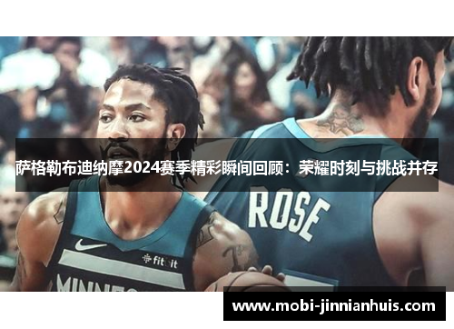 萨格勒布迪纳摩2024赛季精彩瞬间回顾：荣耀时刻与挑战并存